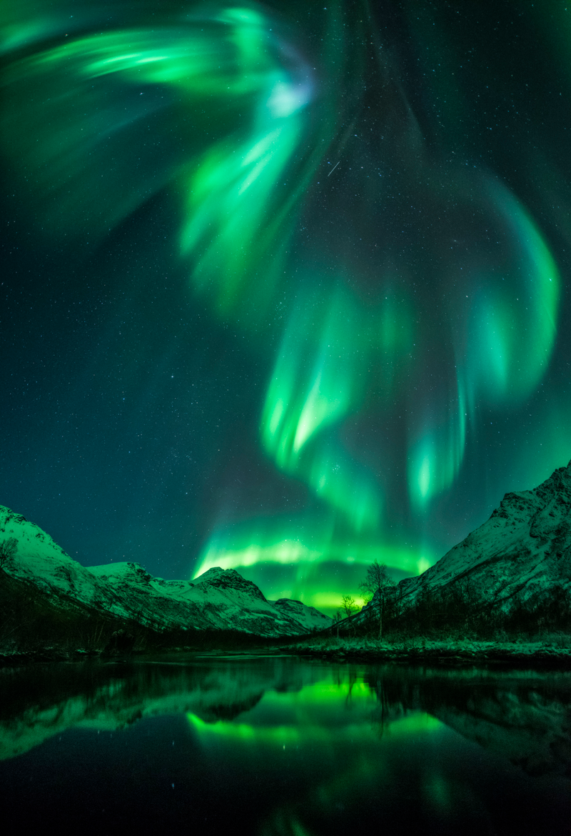 Tomada en Olderdalen, Noruega. Fotógrafo: Jan R Olsen (Noruega)